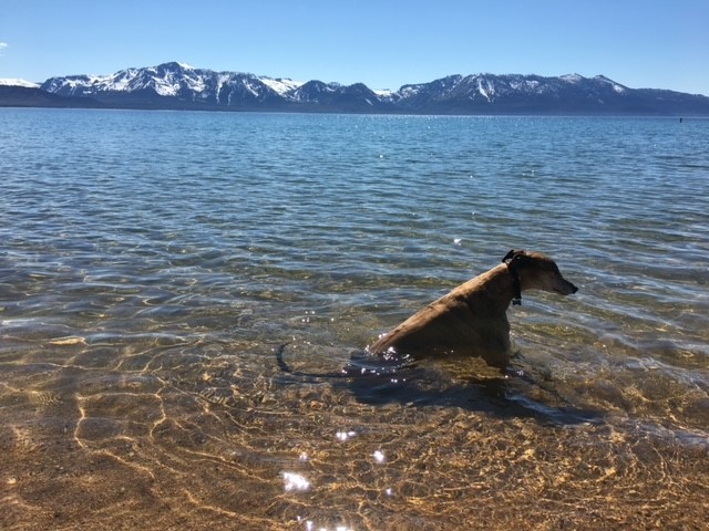 Tahoe